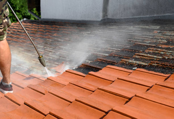 Best House Pressure Washing  in Combe, LA